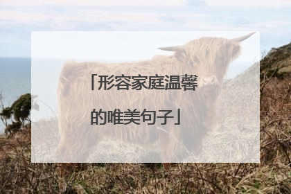 形容家庭温馨的唯美句子