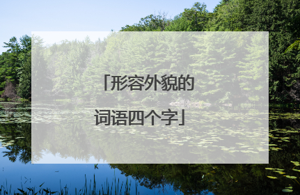 形容外貌的词语四个字