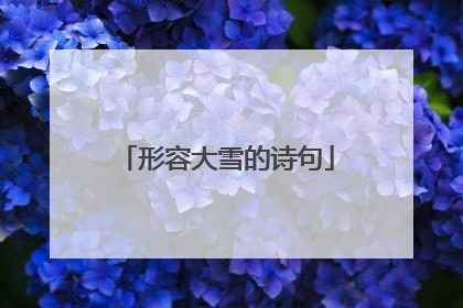 形容大雪的诗句