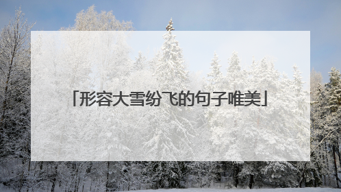 形容大雪纷飞的句子唯美