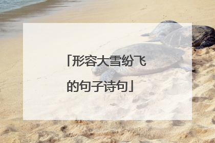 形容大雪纷飞的句子诗句