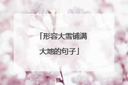 形容大雪铺满大地的句子