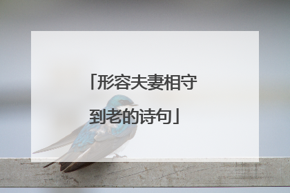 形容夫妻相守到老的诗句