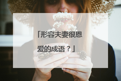 形容夫妻很恩爱的成语？