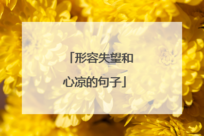 形容失望和心凉的句子