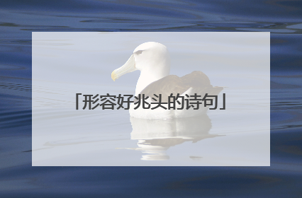 形容好兆头的诗句