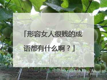 形容女人很贱的成语都有什么啊？