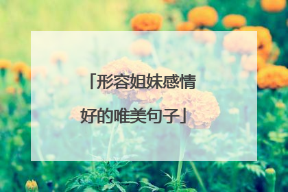 形容姐妹感情好的唯美句子