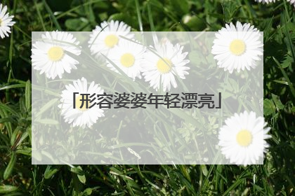 形容婆婆年轻漂亮