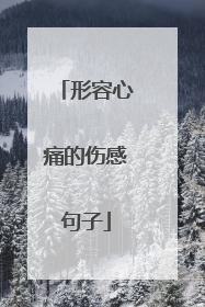 形容心痛的伤感句子