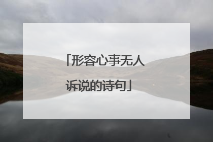 形容心事无人诉说的诗句