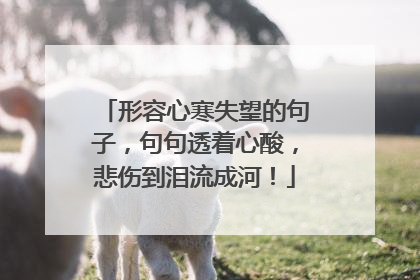 形容心寒失望的句子,句句透着心酸,悲伤到泪流成河!