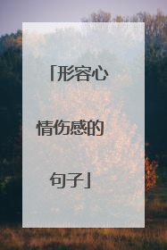 形容心情伤感的句子