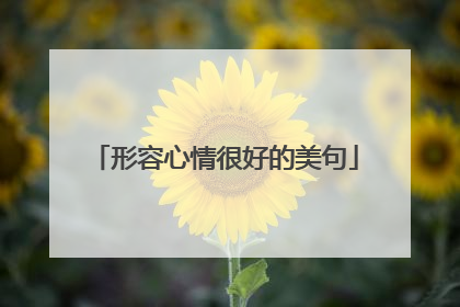 形容心情很好的美句
