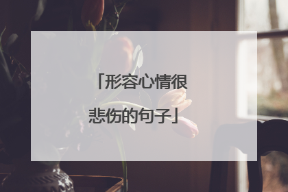 形容心情很悲伤的句子