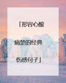 形容心酸痛楚的经典伤感句子