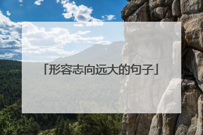 形容志向远大的句子