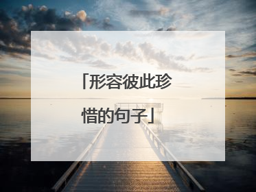 形容彼此珍惜的句子