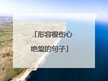 形容很伤心绝望的句子