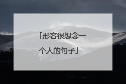 形容很想念一个人的句子