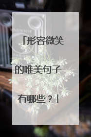 形容微笑的唯美句子有哪些?