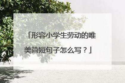 形容小学生劳动的唯美简短句子怎么写？