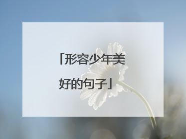 形容少年美好的句子