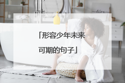 形容少年未来可期的句子