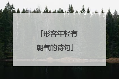 形容年轻有朝气的诗句