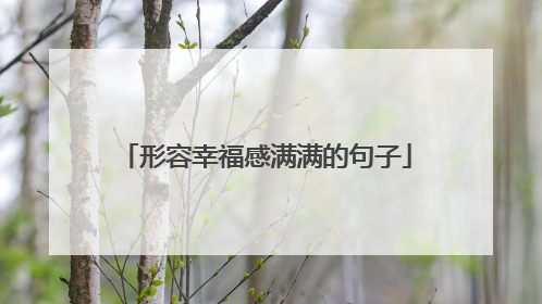 形容幸福感满满的句子