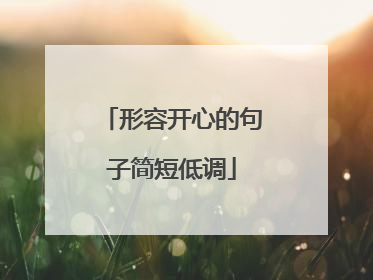 形容开心的句子简短低调