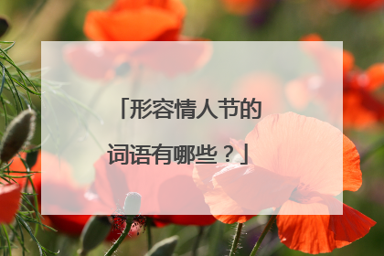 形容情人节的词语有哪些？