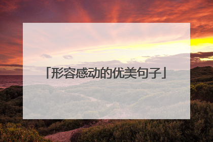 形容感动的优美句子