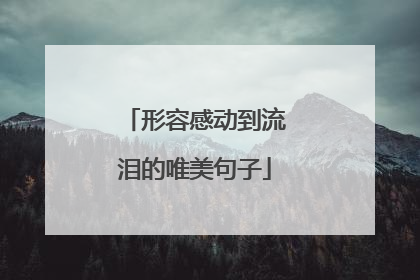 形容感动到流泪的唯美句子