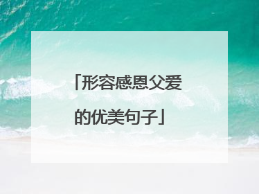 形容感恩父爱的优美句子