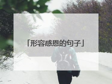 形容感恩的句子