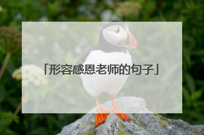形容感恩老师的句子