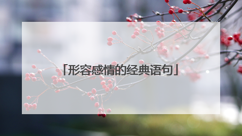 形容感情的经典语句