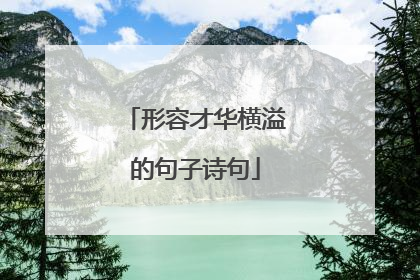 形容才华横溢的句子诗句