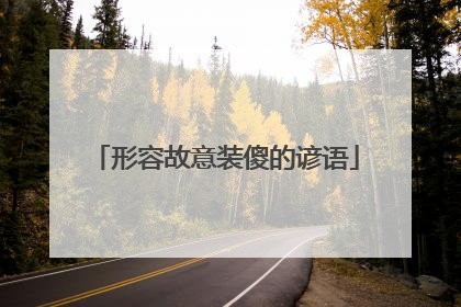 形容故意装傻的谚语