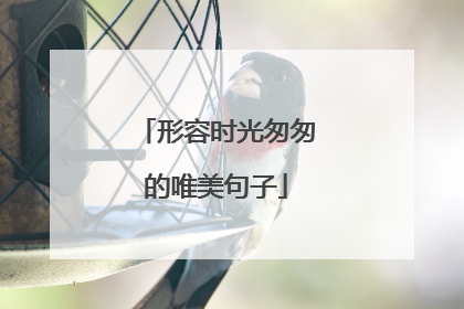 形容时光匆匆的唯美句子