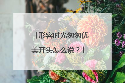形容时光匆匆优美开头怎么说?