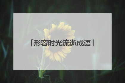 形容时光流逝成语