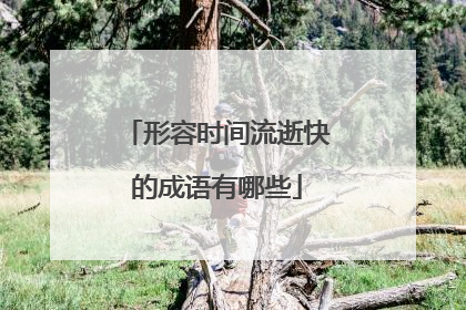 形容时间流逝快的成语有哪些