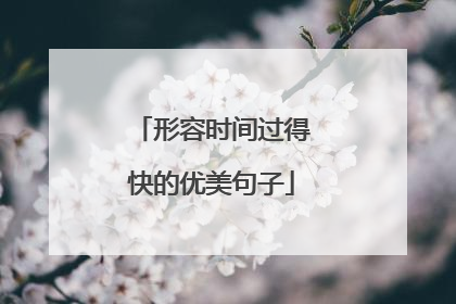 形容时间过得快的优美句子