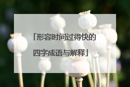 形容时间过得快的四字成语与解释
