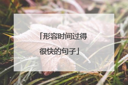 形容时间过得很快的句子