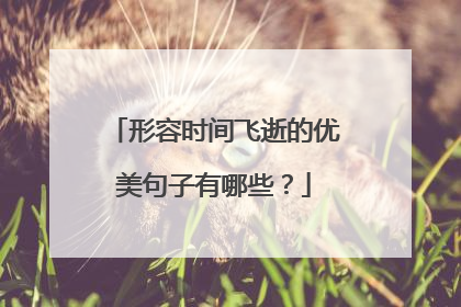 形容时间飞逝的优美句子有哪些?