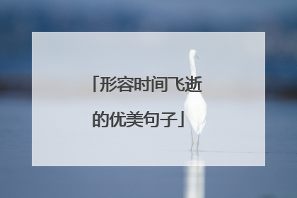 形容时间飞逝的优美句子