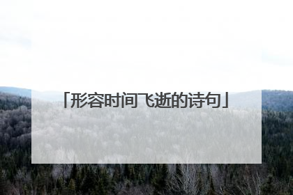 形容时间飞逝的诗句